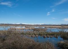 Salburua wetlands in Spain