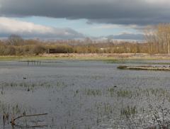 Special Area of Conservation in Salburua, Spain