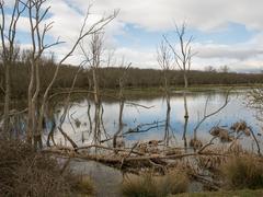 Special Area of Conservation in Salburua, Spain