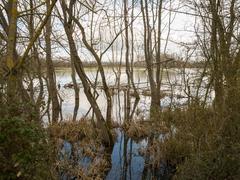 Special Area of Conservation in Salburua, Spain