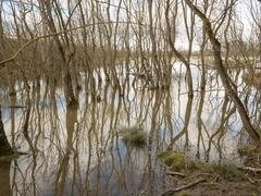 Special Area of Conservation in Spain