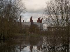 Salburua Wetlands in winter, Vitoria-Gasteiz, Basque Country, Spain