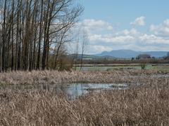 Special Area of Conservation in Salburua, Spain