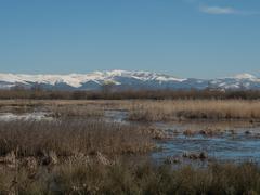 photograph of Special Area of Conservation in Spain