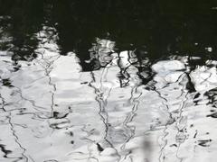 Salburua wetlands in Vitoria