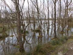 Salburua wetlands in Vitoria