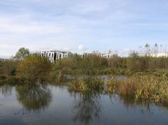 Vital Kutxa savings bank in the background of Salburua wetlands nature reserve