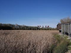 Special Area of Conservation in Spain