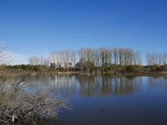 Buesa Arena and Salburua Special Area of Conservation in Spain