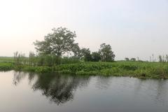 আড়িয়াল বিল, one of the largest wetlands in Bangladesh