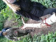 Person carrying a birch log in Gunnersbury Triangle Nature Reserve