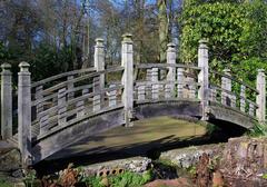 Japanese Bridge at Winterbourne Botanic Garden