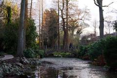 Japanese Bridge at Winterbourne Botanic Garden