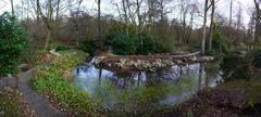 Pond at Winterbourne Botanic Garden in Edgbaston