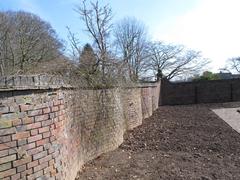 Serpentine crinkle crankle wall in Winterbourne garden