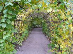 Hazelnut Tunnel at Winterbourne Botanic Garden