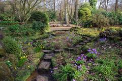 The sandstone rock garden at Winterbourne