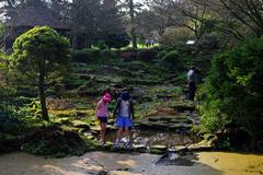 sandstone rock garden at Winterbourne