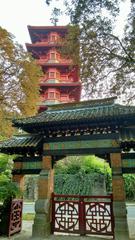 Japanese tower surrounded by trees