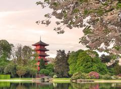 Japanese tower in Laeken Royal Park during evening