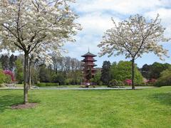 Japanese Tower in Brussels