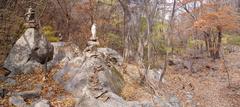 Scenic view of Gyeryeongsan National Park with lush greenery and mountain range