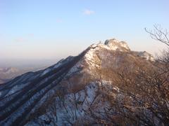 Mountain landscape with forest in South Korea