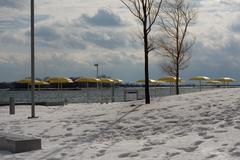 Snowy beach scene with sky and trees in the background