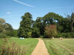 Track through grass field at Harcourt Arboretum, Nuneham Courtenay, Oxfordshire