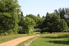 Harcourt Arboretum summer path with meadow flowers and trees