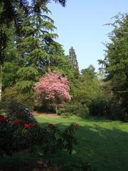 Harcourt Arboretum scenic view