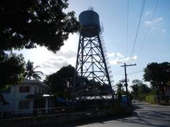 Street view of Castillejos, Zambales with commercial establishments and vehicles