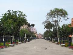 Trees in Alameda de los Descalzos