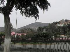 Scenic view of Alameda with lush green trees