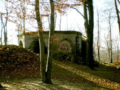 Wolfshügelturm viewpoint tower in Dresden Heide