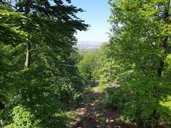 Wolfshügelturm in Dresdner Heide