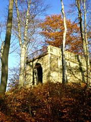 Wolfshügelturm, a historic observation tower in Dresden Heide, Germany