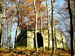 Wolfshügelturm former lookout tower in Dresdner Heide