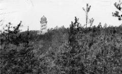 Torre de vigilancia colina del lobo en Dresde