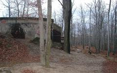 Wolfshügel in Dresdner Heide with remnants of the old Erlwein observation tower