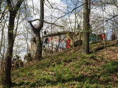 Ruine des Wolfshügelturms in einer bewaldeten Gegend