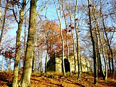 Der Wolfshügelturm in der Dresdner Heide