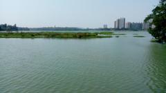 View of Niaosong skyscraper cluster from the shoreline of Hunan.