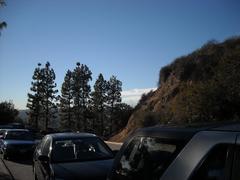 Road leading to Griffith Observatory with parallel parking