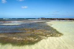 Rocky Cay beach with clear blue water