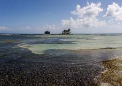 Rocky Cay beach with turquoise waters and blue sky