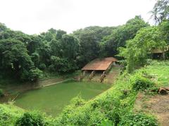 Scenic view around Hill Palace in Tripunithura