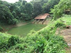 Hill Palace Tripunithura scenic view