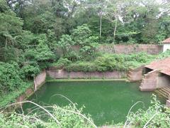 Scenic view around Hill Palace, Tripunithura