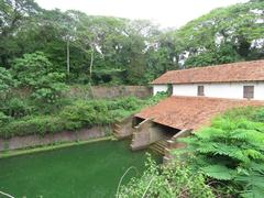 Hill Palace Tripunithura garden